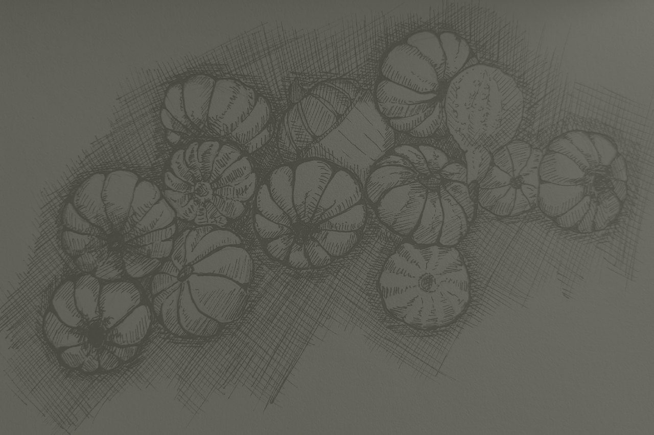 Foto für Illustrationen mit Kürbissen